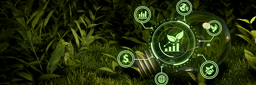biodiesel da combustione